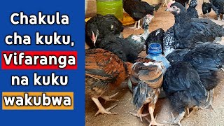 Chakula Cha Kuku wa Kienyeji Vifaranga na Kuku Wakubwa [upl. by Ewen]