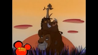 Timón y Pumba  Canción quotDormido está el leónquot HD españolcastellano [upl. by Weitzman]