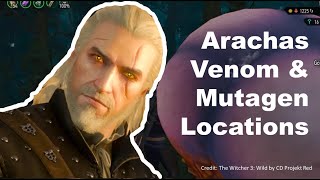 Arachas FARMING location for Venom and Mutagen Witcher 3 Velen amp Skellige witcher3 [upl. by Elawalo]