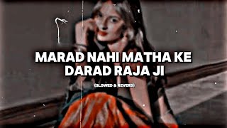 Marad Nahi Math Ke Dard Raja Ji  Slowed amp Reverb  Shivani Singh  Bhojpuri Song  Lofi Song [upl. by Dragon]