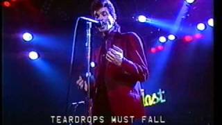 Teardrops must Fall  Mink DeVille  Rockpalast Essen 1981 [upl. by Nyved457]