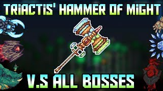 Triactis Hammer of Might VS All Bosses 5000 Subscriber special Terraria  Calamity Mod 12 [upl. by Cirilla218]