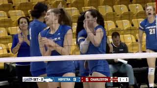 VB Hofstra Highlights vs Charleston 112224 [upl. by Ydieh81]