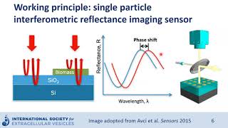 Single particle interferometric reflectance imaging sensor to characterize extracellular vesicles [upl. by Seton]