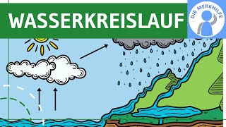 Wasserkreislauf  Begriff Ablauf Prozesse amp Globaler Kreislauf einfach erklärt  Ökologie  Bio [upl. by Oivaf]