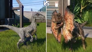 Jurassic World Evolution  VELOCIRAPTOR vs DILOPHOSAURUS  Gameplay PS4 HD 1080p60FPS [upl. by Bearce]