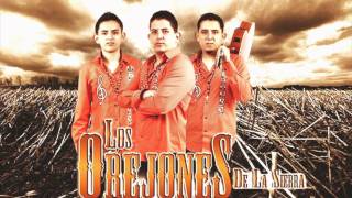 Los Orejones De La Sierra  Aquiles Afirmo Estudio 2012 [upl. by Olegnaid87]