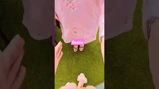 Best friend is a best therapy lyrics music friends bestie punjabimusic ytshorts pink enjoy [upl. by Melas927]