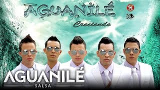 Creciendo Aguanilé Salsa  Audio [upl. by Suqram890]