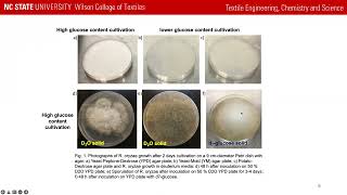 Title Biosynthesis and characterization of deuterated microbial chitosan [upl. by Nickles552]