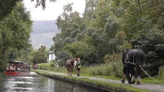 Horse drawn narrowboat trip at Llangollen 20130817 [upl. by Kile]