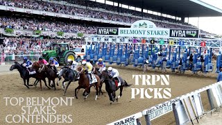 2023 Belmont Stakes Preview Picks Predictions Contenders and Pretenders [upl. by Chapa]