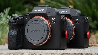 Sony a7III VS a7RIII User Experience Review  BEST Hybrid Mirrorless Cameras of 2019 [upl. by Adnowal]