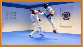 Taekwondo Sparring Session Ginger Ninja Trickster [upl. by Minette]