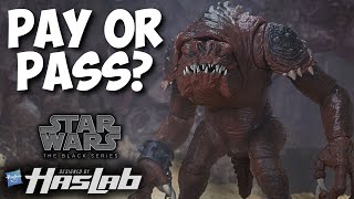 Black Series Haslab Rancor Worthy Release or Disappointment [upl. by Eissahc]