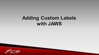 Adding Custom Labels with JAWS [upl. by Ocirderf19]