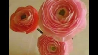 How to make Paper Flowers Ranunculus  Persian Buttercup Flower  22 [upl. by Comfort]