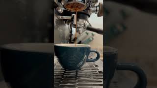 Calibration x Extraction coffee espresso tutorial barista baristalife latteart latte [upl. by Aurore]