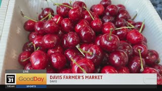 Davis Farmers Market with Your Produce Man 7am [upl. by Tarazi577]