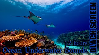 OCEAN UNDERWATER SOUNDS  MEDITATE  RELAX  DELTA WAVES  BLACK SCREEN  ASMR  12 Hours [upl. by Arral]