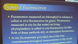 Ocean Productivity  Fluorescence Basics [upl. by Ecilahc79]