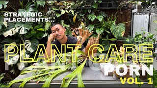 Extreme Plant Care Focusing On Placement Organization and Repotting  Plant Care Porn Vol 1 [upl. by Aylward208]