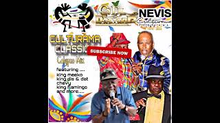 Nevis Culturama Classic Calypso Mix 2024  DJ Doctor P [upl. by Zetra]