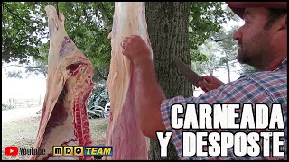 Carneada a campo Y Desposte [upl. by Larkins]