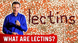 What Are Lectins – Dr Berg [upl. by Seiter]