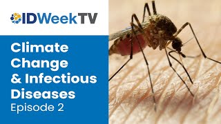 A Changing Climate’s Impact on Infectious Diseases  IDWeek TV 2024  Episode 2 [upl. by Cob]