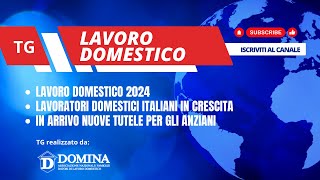 TG LAVORO DOMESTICO 150224 [upl. by Marbut]