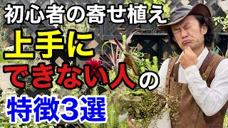 あなたの寄せ植えがたったこれだけで驚くほど綺麗に見せられます 【カーメン君】【園芸】【ガーデニング】【初心者】 [upl. by Atazroglam]