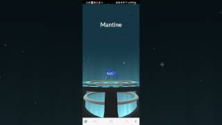 Shiny Mantyke ✨️ Evolved Pokémon shortsviral [upl. by Omissam]