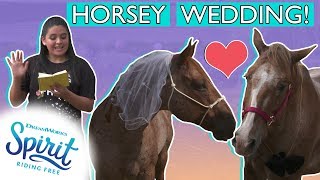 We Threw a Horsey Wedding  THATS THE SPIRIT [upl. by Tabbitha]