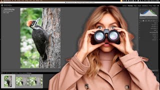 My Lightroom Wildlife Workflow [upl. by Dukey]