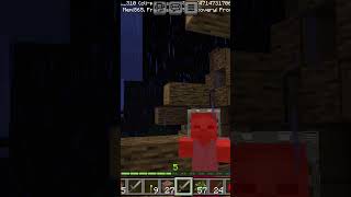 Minecraft village Zombie kill pt3 subscribe [upl. by Islaen695]