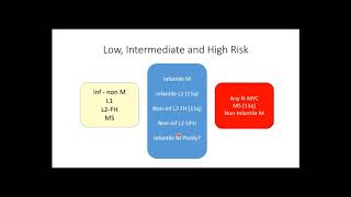 Neuroblastoma Risk Stratification and Treatment OverviewDr Nehal Khanna [upl. by Nisen]