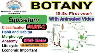 Equisetum life cycleReproductionEconomic Importance of EquisetumPart2 [upl. by Atnod550]