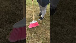 sweep my lawn with me🤭🌱 lawncare [upl. by Ahsienyt]