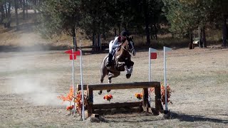 Renee Kalkman Spokane Sport Horse Farm HT September 2024 [upl. by Chick102]