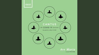 Ave Maria Live [upl. by Faunia]