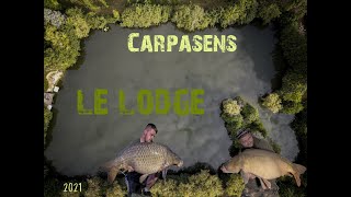 Carpasens 💢Le Lodge💢 2021 [upl. by Elbertina]