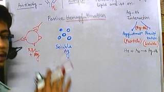 Hemagglutination assay [upl. by Enirhtak]