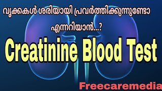 Creatinine test malayalam  Kidney function test  creatinine level [upl. by Drandell609]