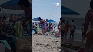 Massive swarm of dragonflies invades beach in Rhode Island [upl. by Kippar]