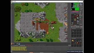 Location Npc Melfar Tibia l Quest The New Frontier [upl. by Holtorf]