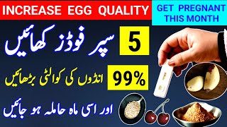 5 Supper Foods To increase Egg Quality 99 And Get Pregnant This Month How To Conceive dr tahir [upl. by Tyne600]