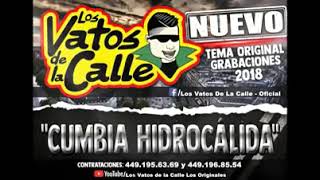 CUMBIA HIDROCALIDA [upl. by Isac]