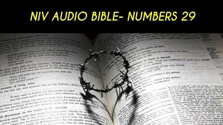 NUMBERS 29 NIV AUDIO BIBLE with text [upl. by Accebor]