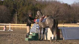 Part 1 of the Retired Race Horse Thoroughbred Training Project with Eric Dierks [upl. by Betthezel]